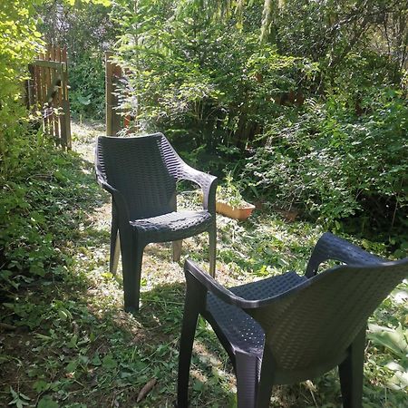Cosy 2 Rooms Apartment With A View Near The Forest Predeal Buitenkant foto