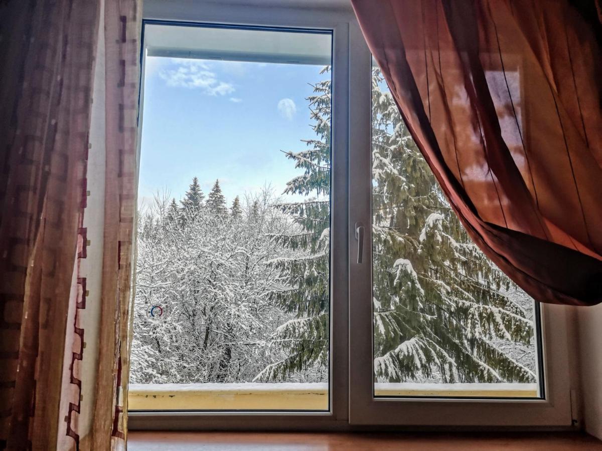 Cosy 2 Rooms Apartment With A View Near The Forest Predeal Buitenkant foto